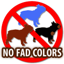 No Fad Colors